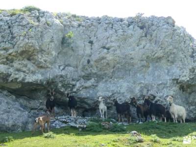 Parque Natural Aizkorri-Aratz; parque natural de muniellos excursiones con niños en madrid ciudad en